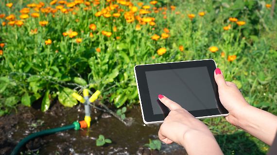 Smart Garden